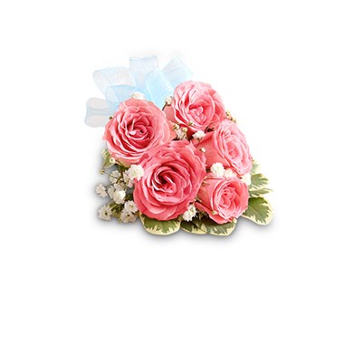 Pink Spray Rose Corsage-Light Blue Bow